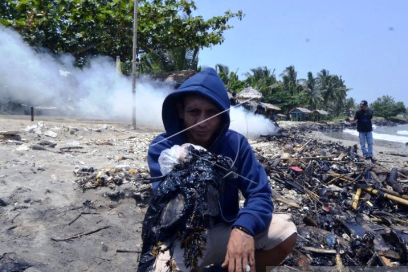 Limbah Minyak Cemari Laut Lampung