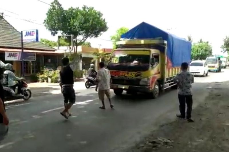 Peternak ayam petelur di Lotim sweeping truk dari Bali dan Jawa