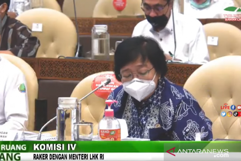 Menteri LHK paparkan alasan akhiri kerja sama REDD+ dengan Norwegia