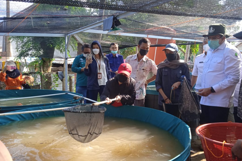 Anggota DPR apresiasi program revitalisasi ekonomi BRGM di Sumsel