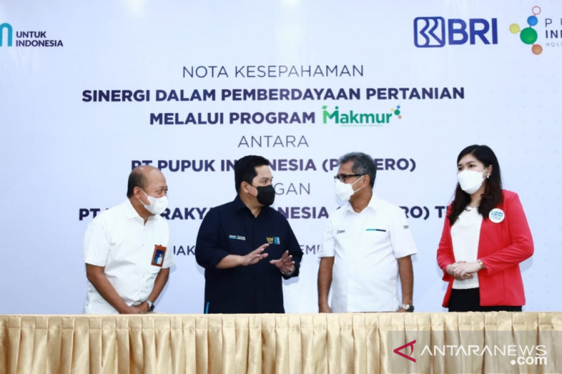 BRI dan Pupuk Indonesia berdayakan petani melalui Program Makmur