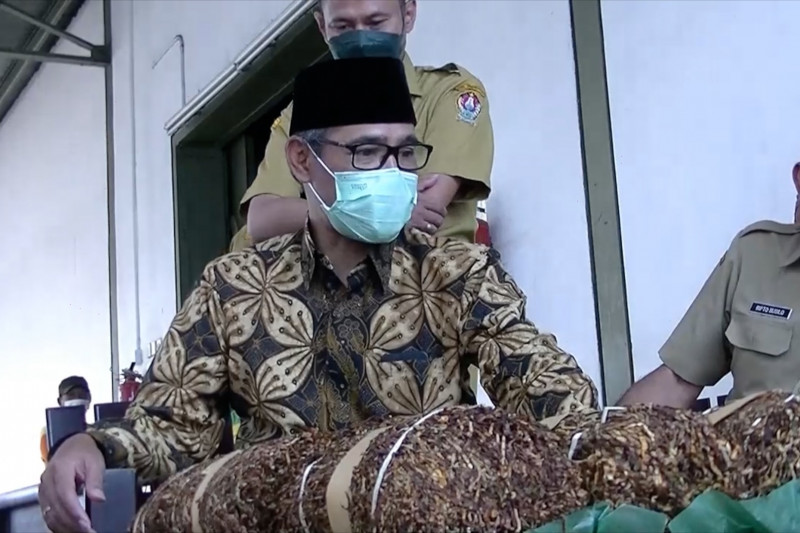 Bupati Temanggung minta petani tingkatkan kualitas tembakau