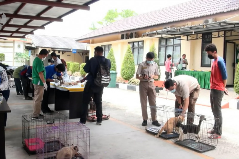 Vaksinasi dan sterilisasi bagi 74 hewan peliharaan di Palangka Raya