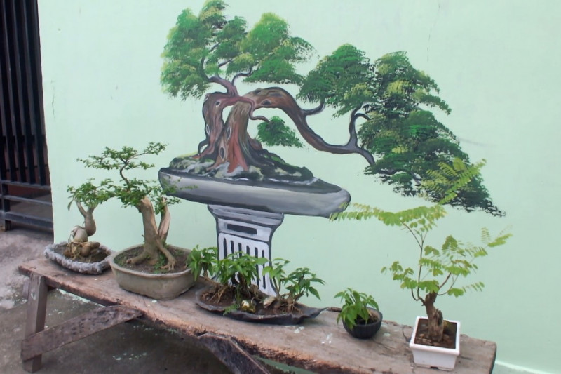 Menggerakkan perekonomian warga melalui Kampung Bonsai