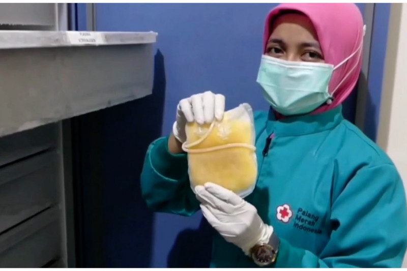 PMI sebut penyaluran plasma konvalesen harus melalui RS