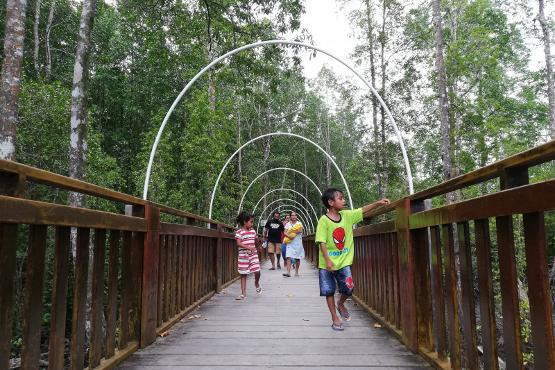 Kunjungan Ecowisata Mangrove Poumako terdongkrak PON Papua