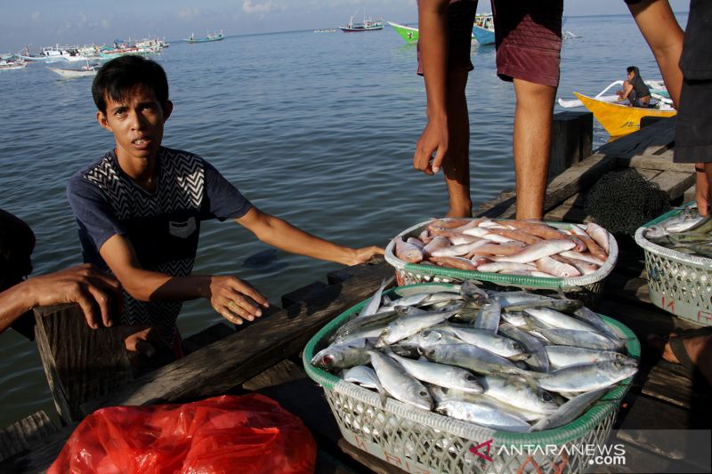 Perkuat pendataan sistematis penangkapan ikan untuk kuota perikanan