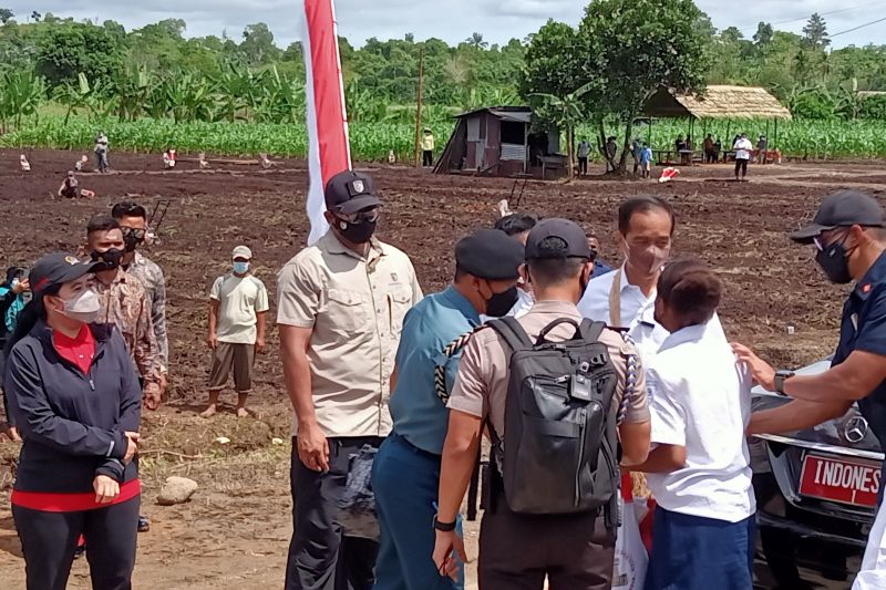 Billy Mambrasar sebut Presiden Jokowi ingin anak Papua maju