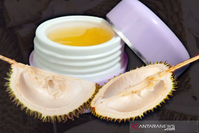 Mahasiswa UB mengolah kulit durian menjadi krim antijerawat