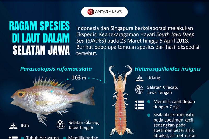 Ragam spesies di laut dalam selatan Jawa