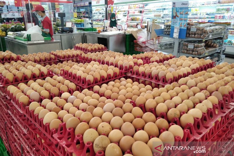 RNI: Digitalisasi sektor pangan penting turunkan biaya produksi