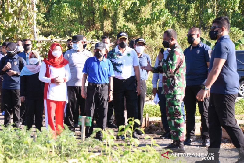 Wapres apresiasi kebun dan ketahanan pangan Kodam Kasuari Papua Barat
