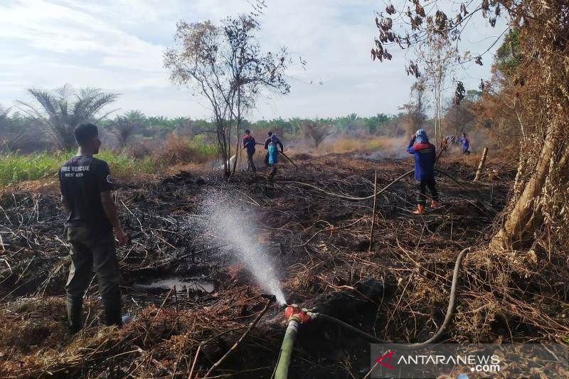 BPBD sulit padamkan kebakaran lahan gambut di Aceh Barat