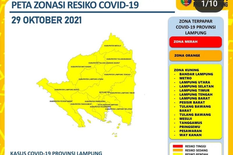 Dinkes catat kasus harian COVID-19 di Lampung bertambah 11 pasien