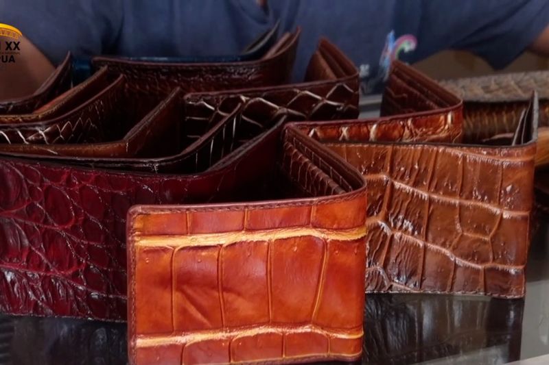 berburu-cenderamata-berbahan-kulit-buaya-dari-merauke Berburu cenderamata berbahan kulit buaya dari Merauke thumbnail