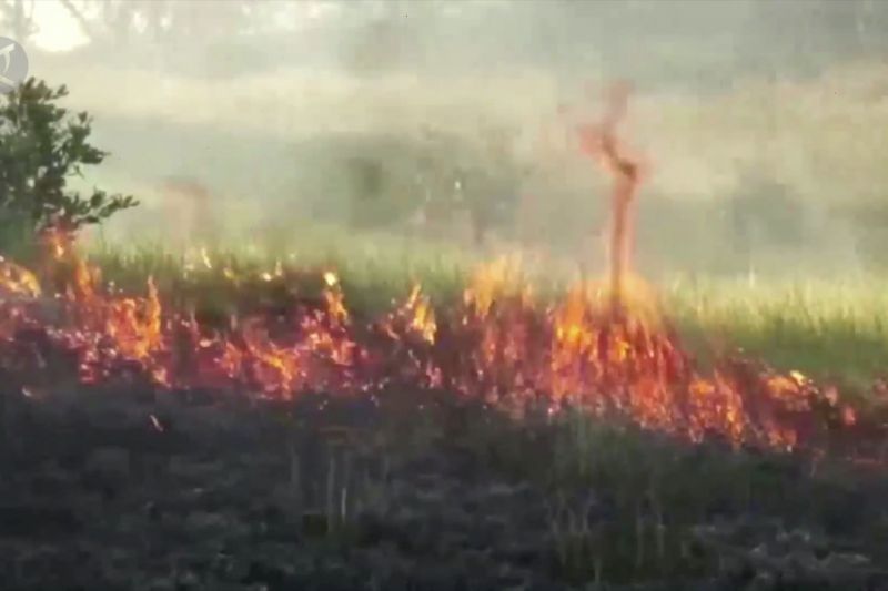 Hindari potensi kebakaran saat suhu udara tinggi