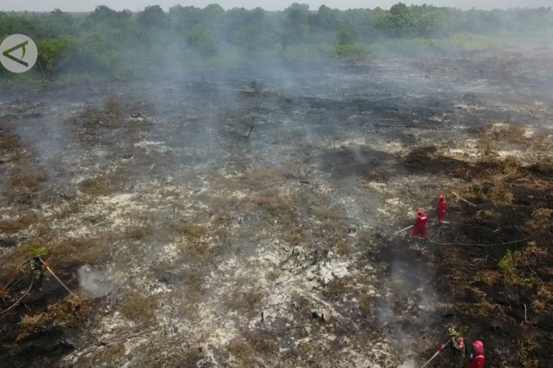 Status siaga darurat karhutla di Riau resmi berakhir