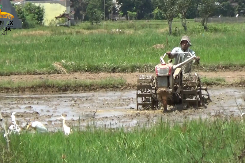 Rp2,6 Miliar untuk bangun sarpras pertanian di Padang