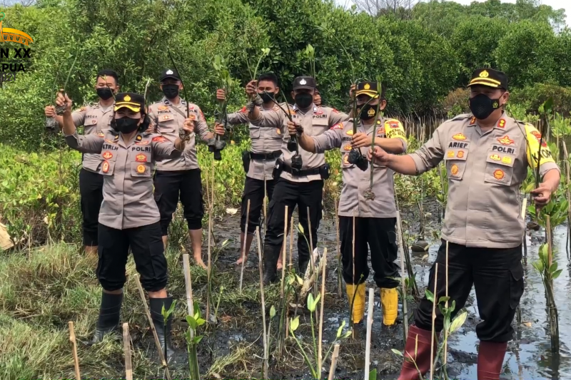 Polres Pekalongan tanam ribuan pohon mangrove