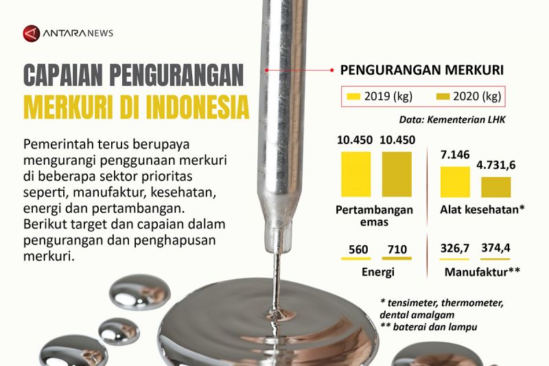 Capaian pengurangan merkuri di Indonesia