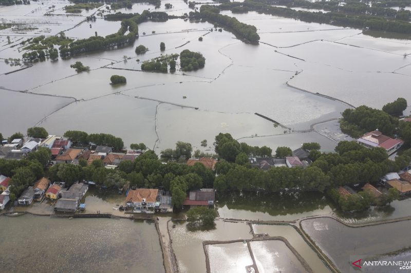 Nelayan Kotabaru merugi ratusan juta rupiah akibat banjir rob