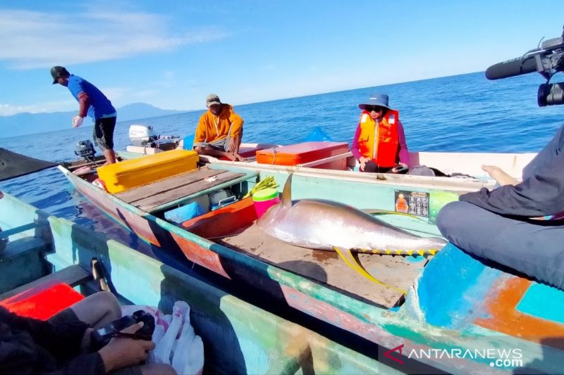 KKP sertifikasi 300 nelayan Maluku Utara tingkatkan kemampuan teknis