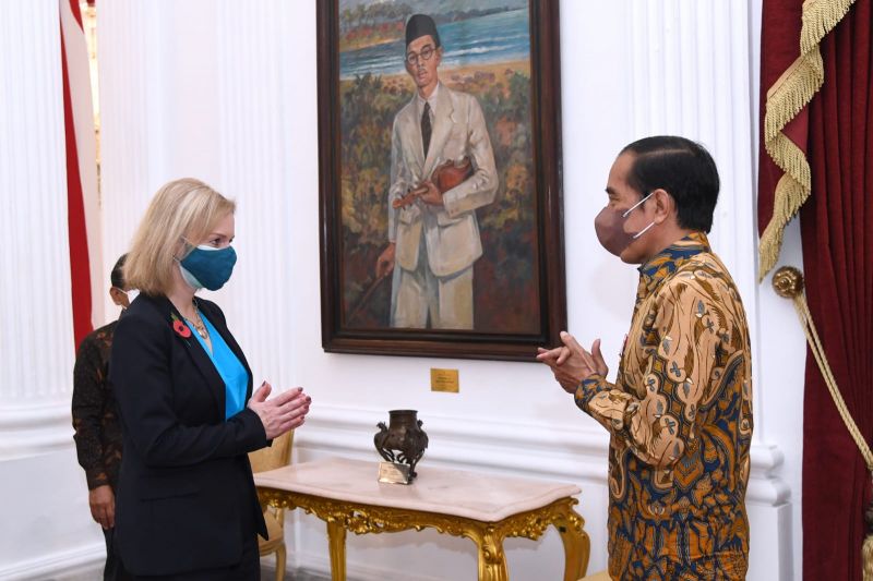 Presiden Jokowi bahas pasar karbon hingga vaksin dengan Menlu Inggris