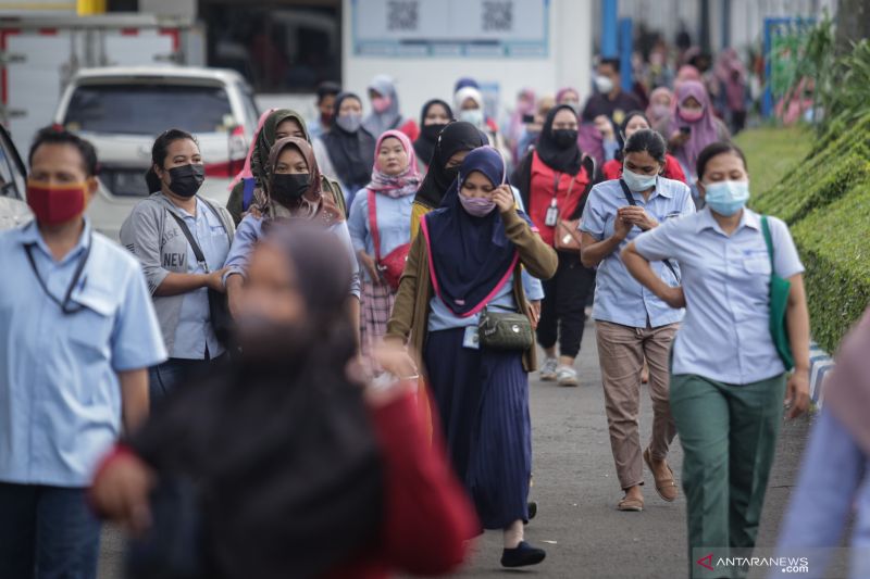 Pemerintah diminta naikkan iuran Jaminan Pensiun secara bertahap
