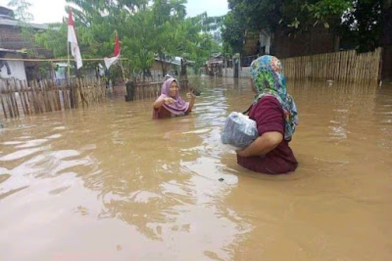 Intensitas hujan tinggi, banjir setinggi 1 meter rendam rumah warga di Bima