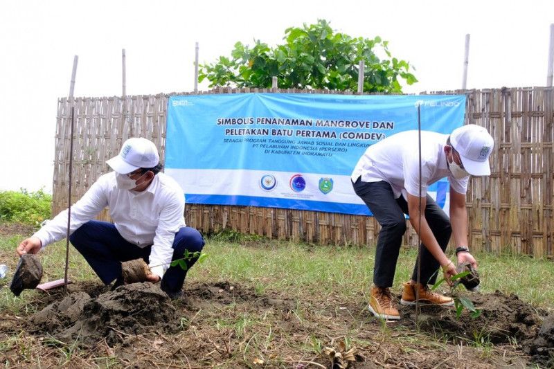 Pelindo ikut sukseskan program rehabilitasi mangrove di Indramayu