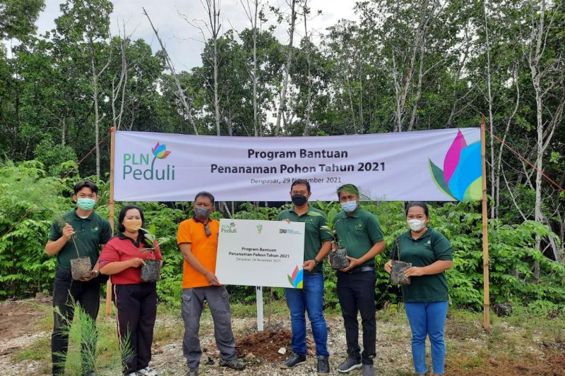 PLN Bali Selatan tanam 6.900 bibit pohon dukung ruang terbuka hijau