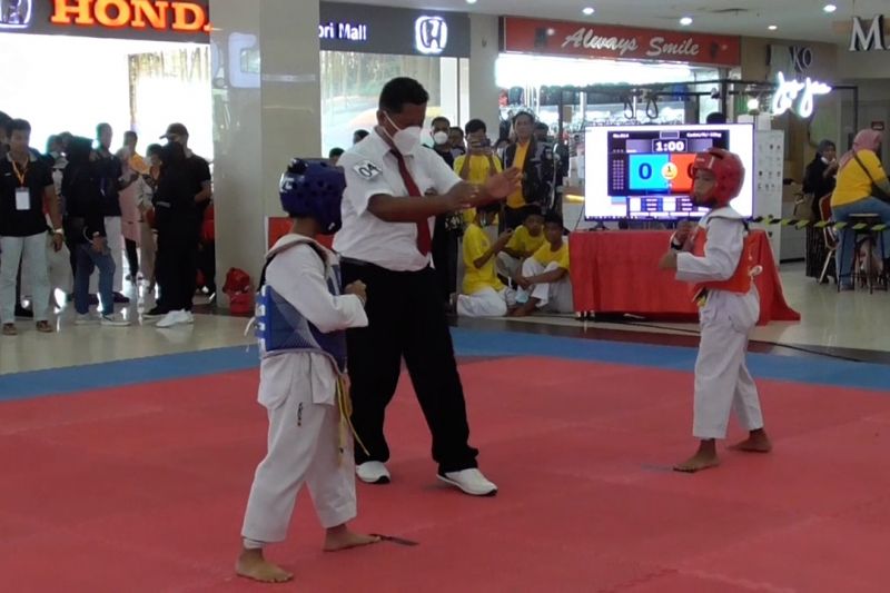 BNNP Kepri gelar taekwondo