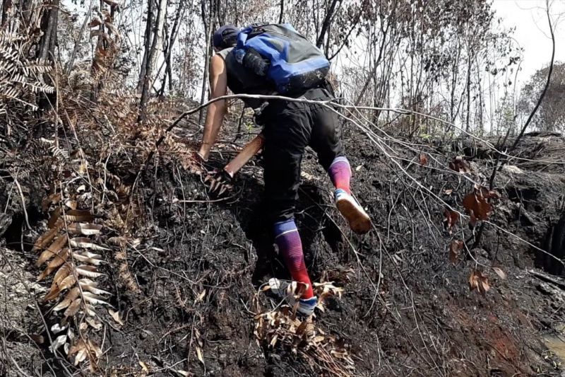 KLHK Wilayah Kalteng bekali kemampuan pengendalian karhutla