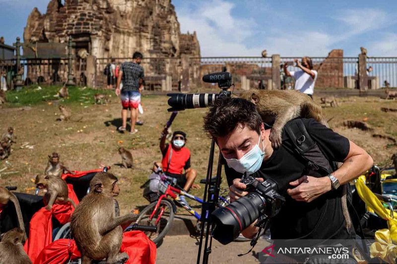 Festival Monyet di Thailand kembali digelar