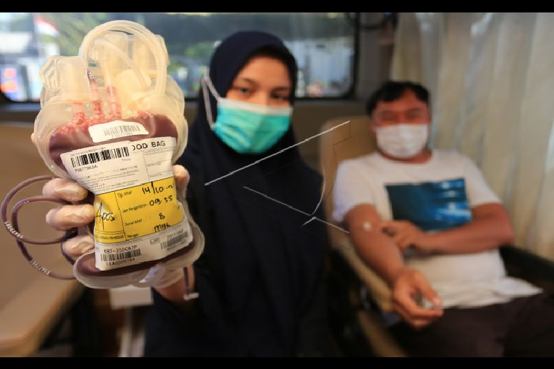 PMI Banda Aceh kumpulkan darah ribuan kantong selama November 2021