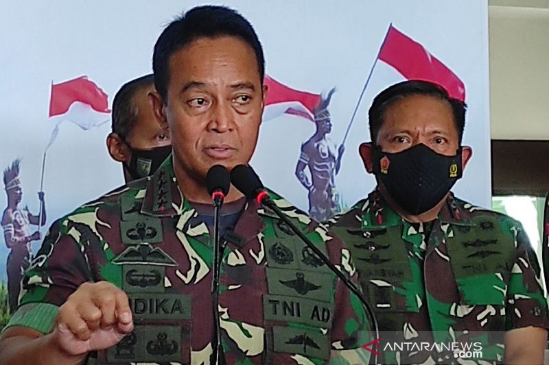 Panglima TNI kerahkan prajurit bantu penanganan bencana Semeru