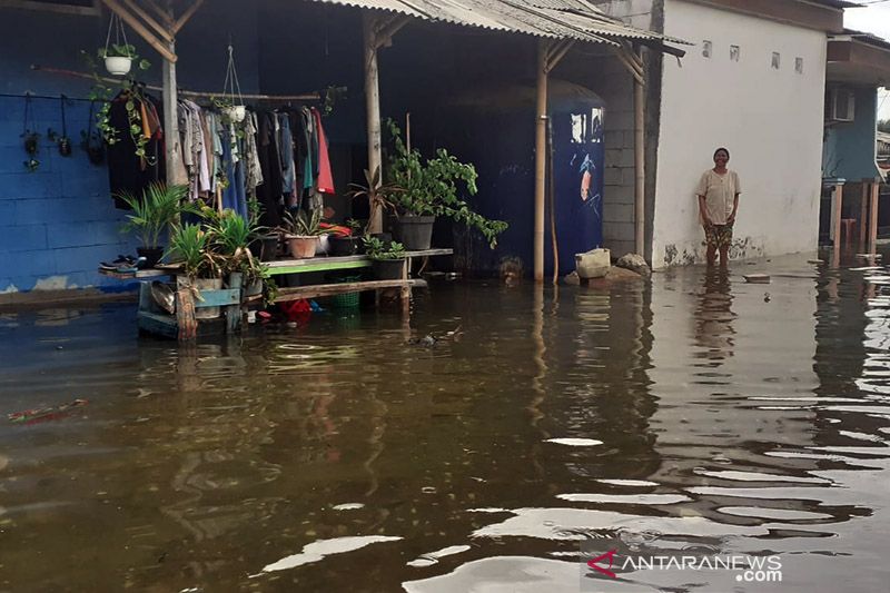 Banjir rob kembali rendam permukiman warga di pesisir Tangerang