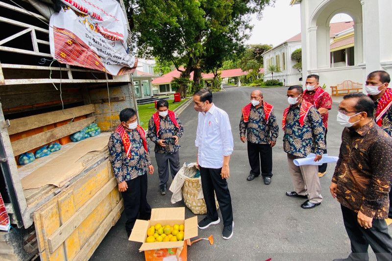 Presiden Jokowi dapat tiga ton jeruk dari warga Karo