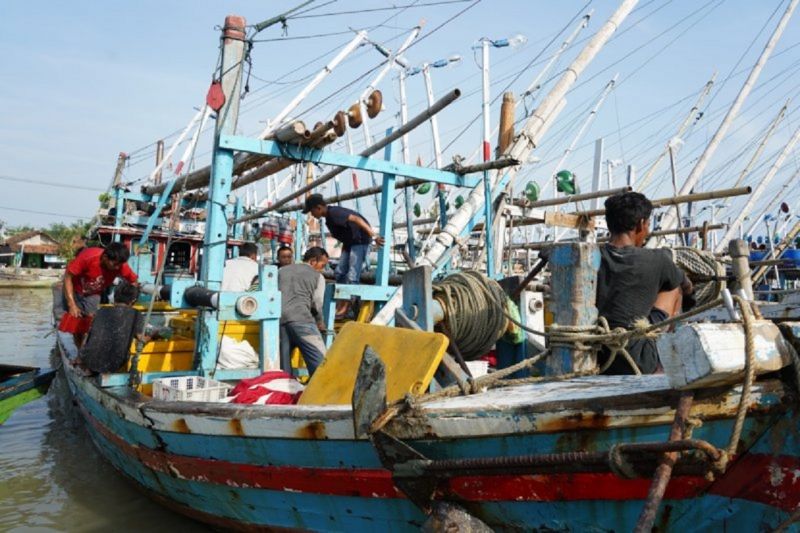KKP: Penangkapan terukur perlu untuk jaga stok ikan di laut