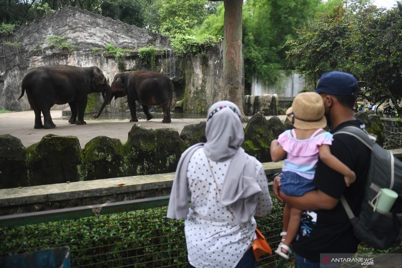 Jakarta kemarin, wisata Ragunan hingga tanggul rob