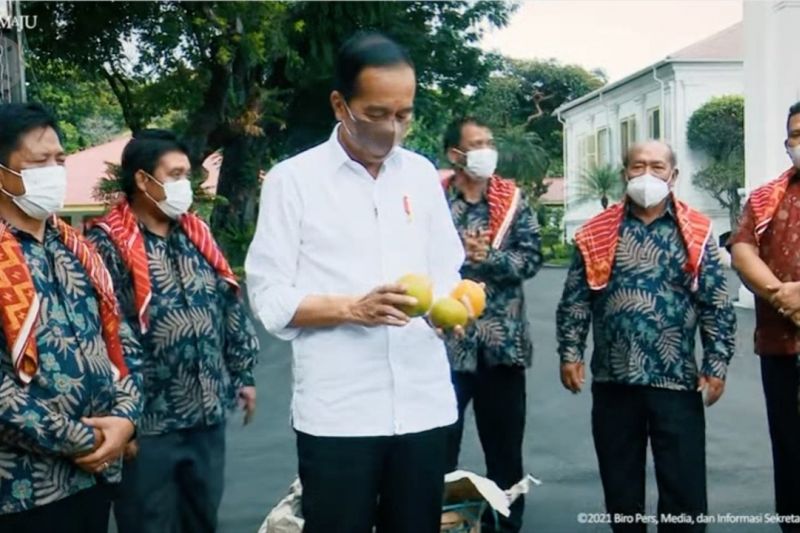 Perwakilan Desa Liang Melas Datas diterima Presiden Jokowi
