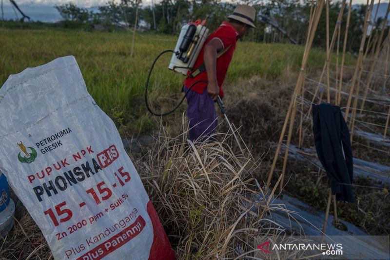 Petani Kesulitan Dapatkan Pupuk