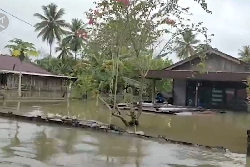 Ratusan rumah di Nimbokrang Papua terendam banjir
