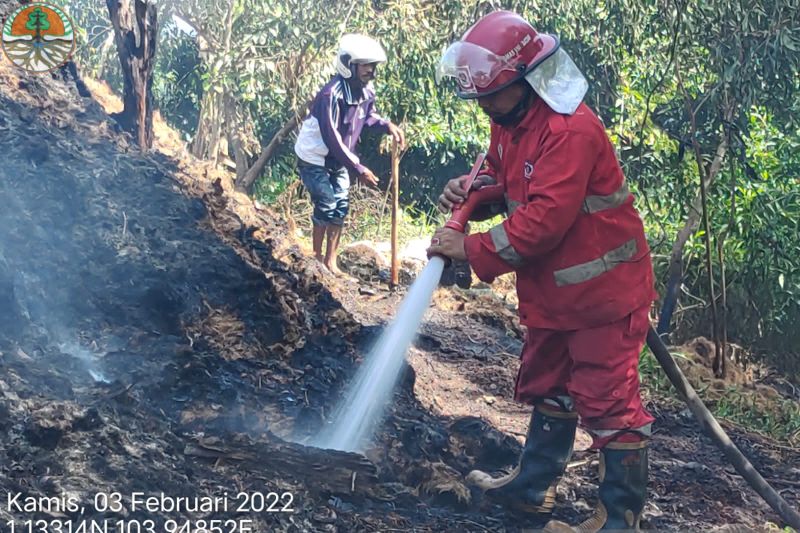 Area produksi tempurung arang di Sekupang  terbakar