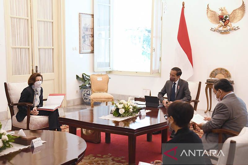 Presiden Jokowi sampaikan komitmen Indonesia konservasi laut hingga 32,5 hektare