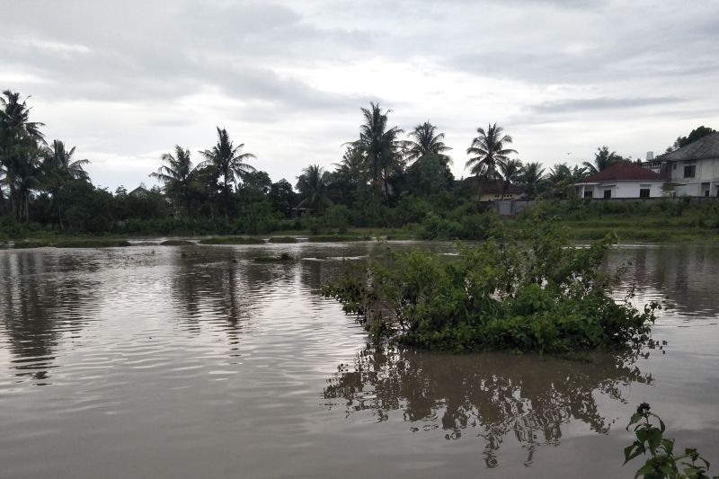 Ratusan rumah warga di Lombok Tengah terendam banjir