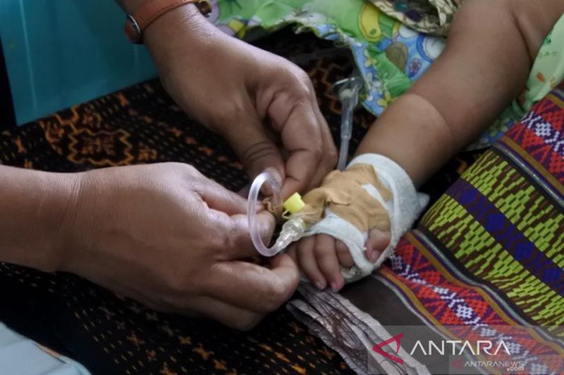 104 residents are attacked, Southwest Sumba-NTT decides dengue fever outbreak