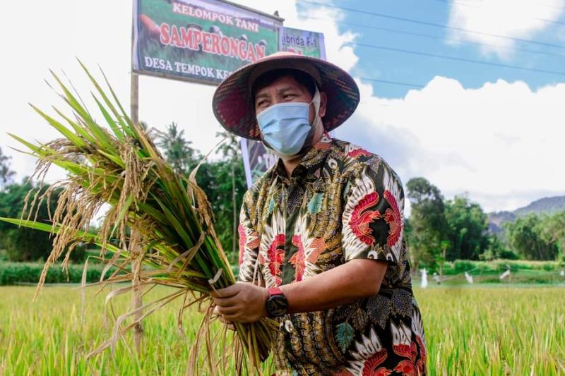 Pemprov Sulut sebut pertanian sokong pertumbuhan ekonomi saat pandemi