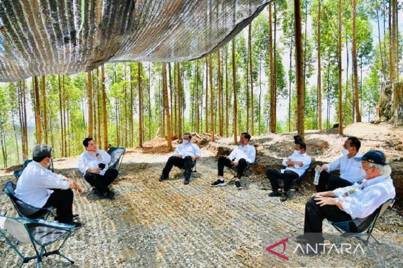 Presiden akan tinjau sejumlah proyek di IKN Nusantara
