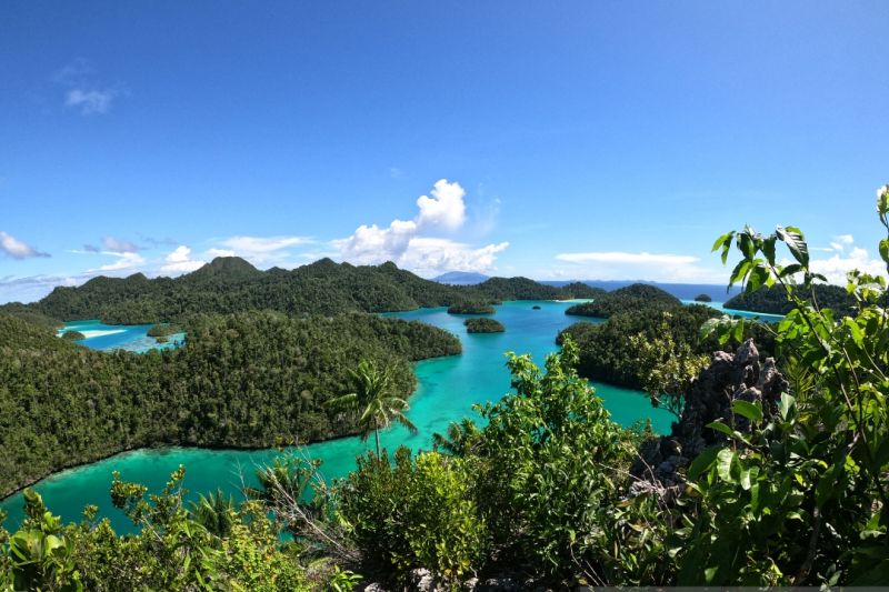 Kepala daerah harap Otsus Papua Barat beri kewenangan bagi pemda